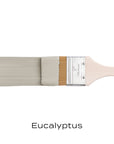 Eucalyptus