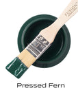 Pressed Fern