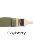 Bayberry