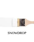 Snowdrop