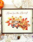 Autumn Splendor