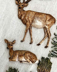 Evergreen Christmas Magic