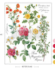Poetry in Petals H2O transfer