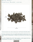 Timeless Petals