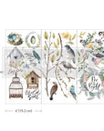 Garden Marvels