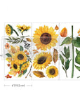 Sunflower Afternoon