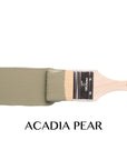 Acadia Pear